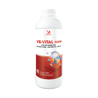 VB-VITAL new (Cung cấp khoáng chất tạo khung xương làm chắc vảy da cho cá)