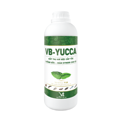 VB-YUCCA