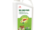 VB-LIVO PLUS