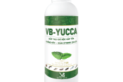 VB-YUCCA