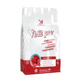 VB12 pro
