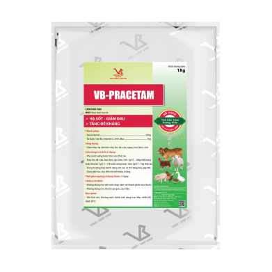 VB-PRACETAM