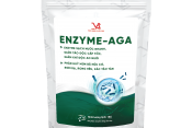 ENZYME-AGA