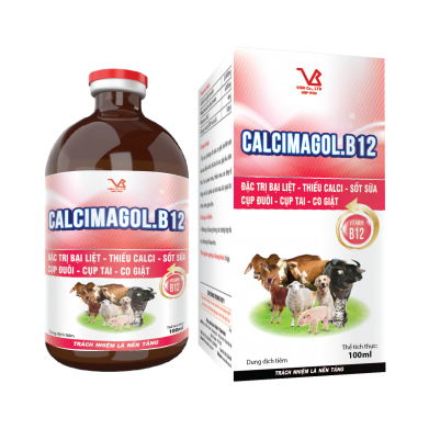 CALCIMAGOL.B12