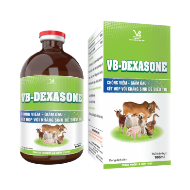 VB-DEXASONE