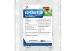 VB-COLISTIN