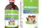 VB-DEXASONE
