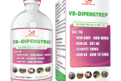 VB-DIPENSTREP