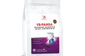 VB-PANGA (Đặc trị xuất huyết gan thận mủ lồi mắt trên cá và ếch)
