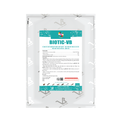 BIOTIC-VB (Vi sinh ức chế khuẩn gây bệnh xuất huyết gan thận mủ trên cá có vảy)