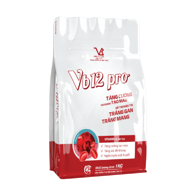 VB12 pro (Tăng cường tạo máu hỗ trợ điều trị trắng gan trắng mang cho cá)