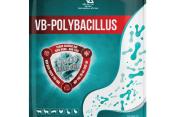 VB-POLYBACILLUS