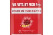 VB-VITALET FISH Pro (Bổ sung vitamin giúp cá phát triển tốt phục hồi nhanh sức khỏe)