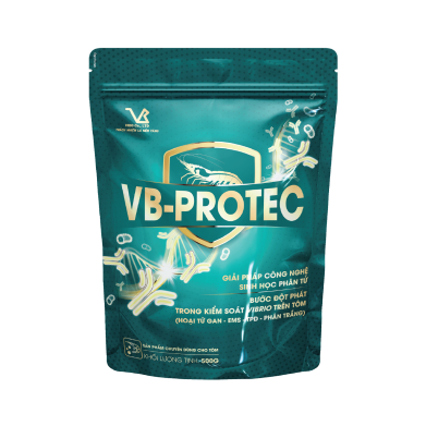 VB-PROTEC