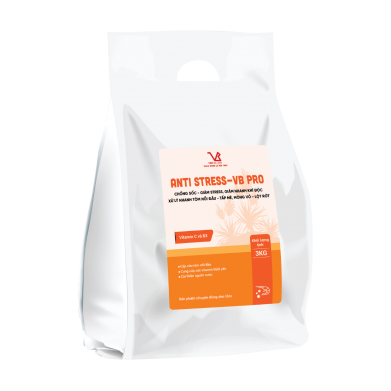 ANTI STRESS-VB pro
