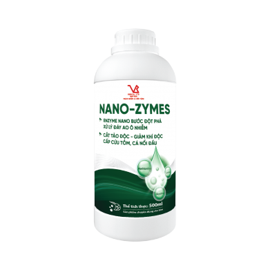 NANO-ZYMES