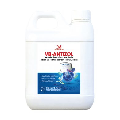 VB-ANTIZOL (Đặc hiệu nấm đồng tiền, đốm vàng, đốm đen)