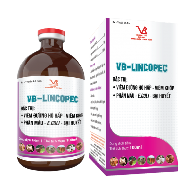 VB-LINCOPEC