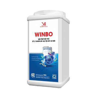 WINBO