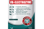 VB-ELECTROZYME