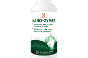 NANO-ZYMES