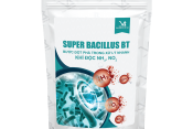 SUPER BACILLUS BT (Vi sinh chuyên xử lý khí độc)