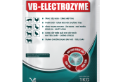VB-ELECTROZYME