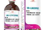 VB-LINCOPEC