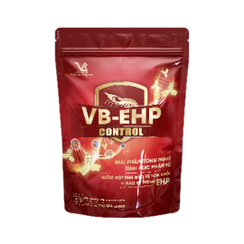 VB-EHP Control