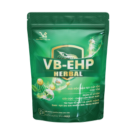 VB-EHP herbal (Tái tạo tế bào gan tuỵ)