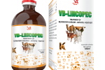 VB-LINCOPEC