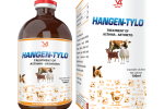 HANGEN-TYLO