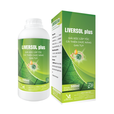 LIVERSOL plus