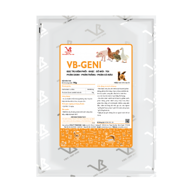 VB-GENI