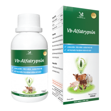 VB-ALFATRYPSIN PLUS