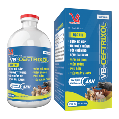 VB-CEFTRIXOL