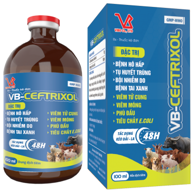 VB-CEFTRIXOL