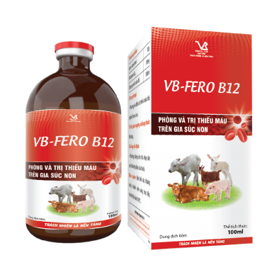 VB-FERO B12
