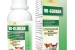 VB-GLUKAN