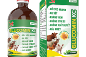 GLUCOMIN KC