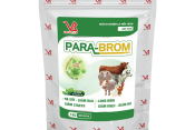 PARA-BROM