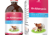 VB-ALFATRYPSIN