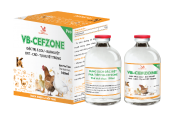 VB-CEFZONE PRO