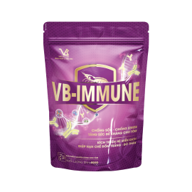 VB-IMMUNE