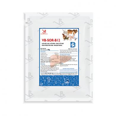 VB-SOR-B12