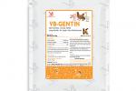 VB-GENTIN