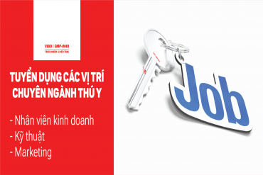 TUYỂN DỤNG CÔNG TY VIBO T08/2025