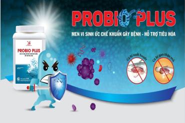 PROBIO PLUS – Probiotics Antagonistic to Pathogenic Bacteria in Fish