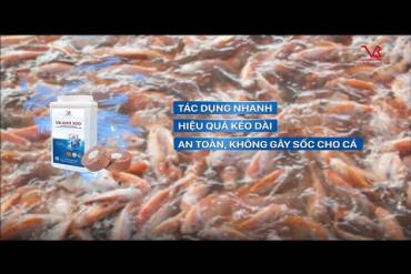 VB-ANTI ZOO – Hanging Disinfection Tablets for Water Treatment in Cage Culture