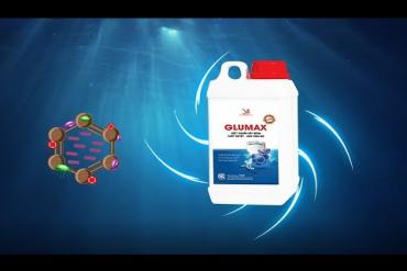 GLUMAX – Disinfectant for Disease-Causing Bacteria in Aquaculture Ponds
